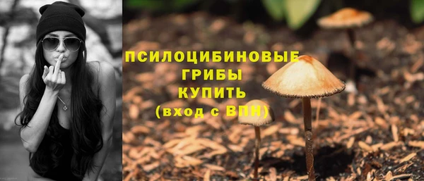 спайс Касимов