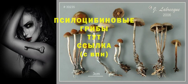 apvp Карпинск