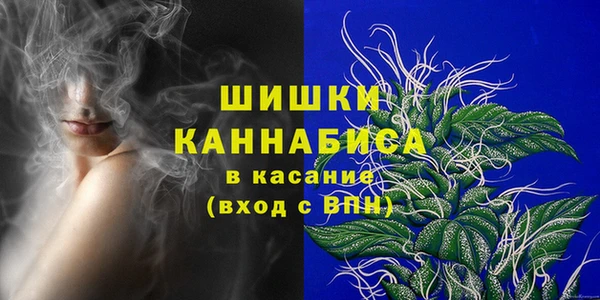 прущие грибы Киренск