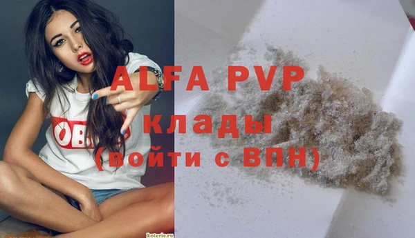 спайс Касимов