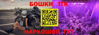 скорость Кингисепп