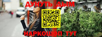 скорость Кингисепп