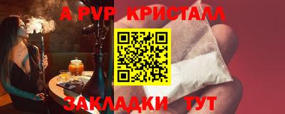 скорость Кингисепп
