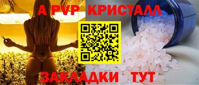 крисы Кинель