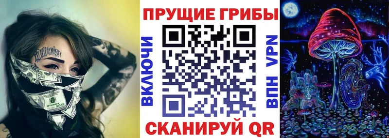 Галлюциногенные грибы GOLDEN TEACHER  купить наркоту  Муром 