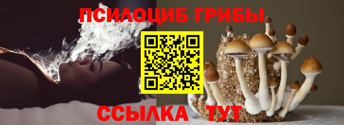 Галлюциногенные грибы ЛСД Муром