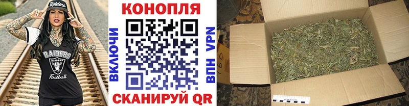 цена наркотик  Муром  Бошки Шишки OG Kush 